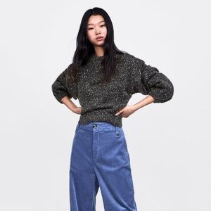 Zara Sequin Sweater
